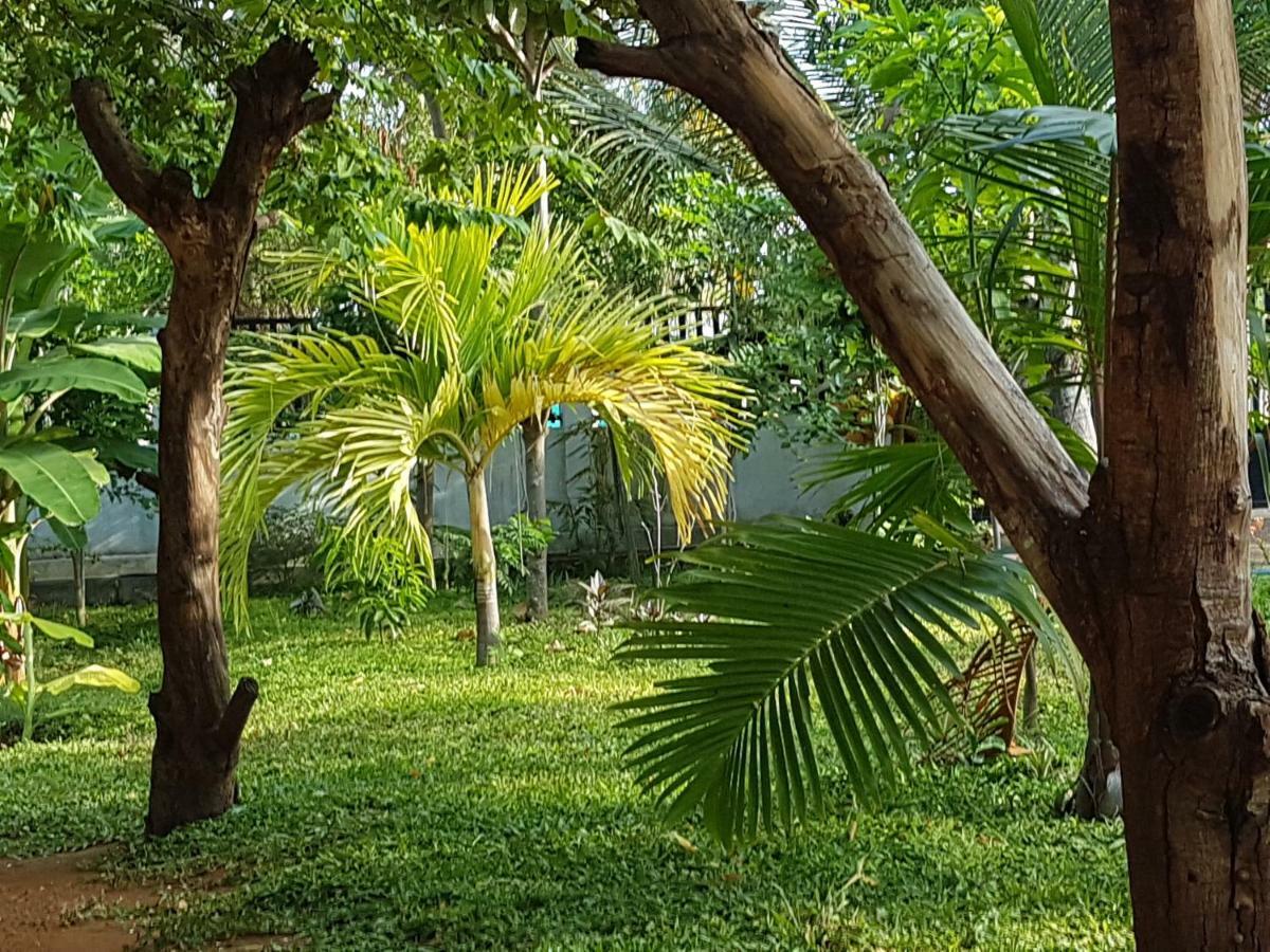 Luna Beach Hotel Nilaveli Luaran gambar